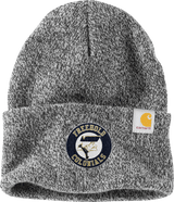 FRC Freehold Colonials Carhartt Watch Cap 2.0