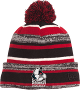 Berdnikov Bears New Era Sideline Beanie